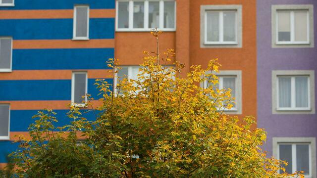 Алиханов рассказал о планах заселить восток Калининградской области