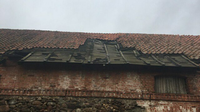 Калининградскому приюту, где живут 320 бездомных собак, нужен миллион на починку крыши