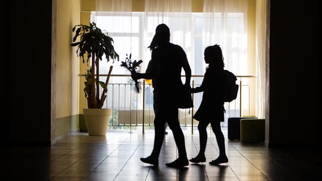 Яровая предложила создать приложение для школьников о наследии России