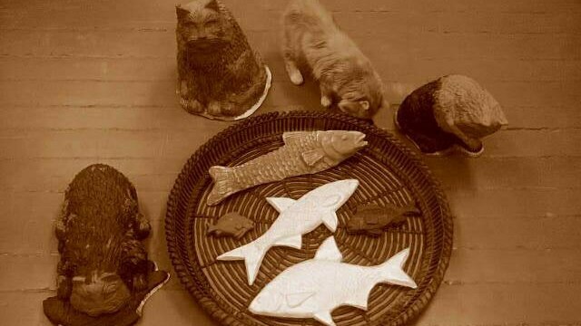 В Зеленоградске установят скульптуру, посвящённую обедающим котам