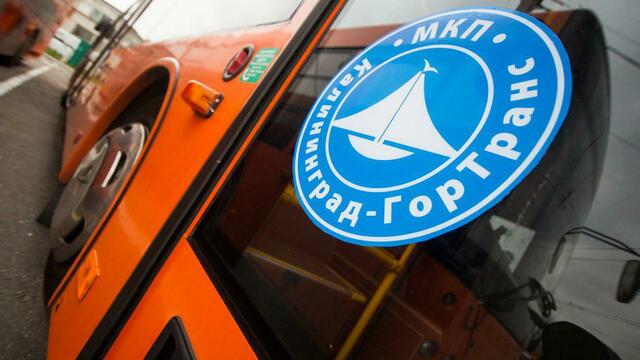 Водители, подписавшие письмо против руководства 