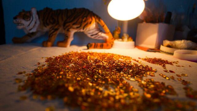 Алиханов поддержал идею ужесточить ответственность для чёрных копателей янтаря