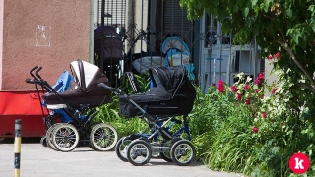 Стал известен размер ежемесячных выплат для калининградцев при рождении первенца