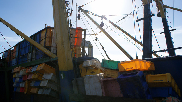 Россия ограничила импорт цейлонского чая