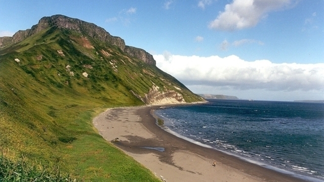 СМИ: Япония предложит России совместное управление Курилами 