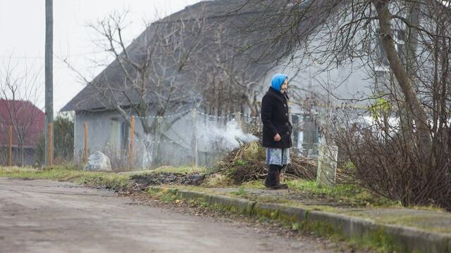 В Калининграде одинокая старушка держала девять кошек и просила милостыню от голода (фото)