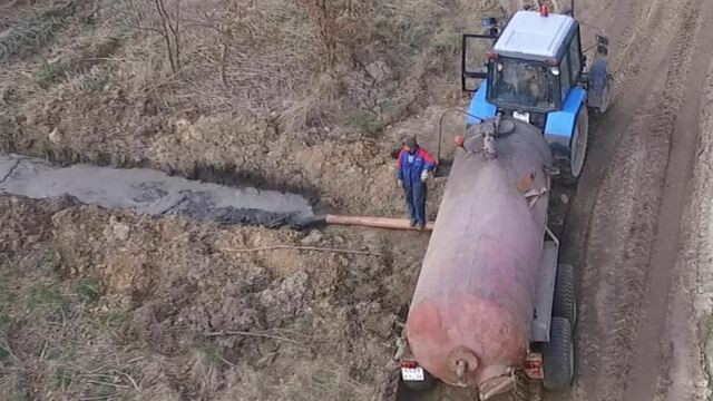 Под Зеленоградском на земельные участки неизвестные сбрасывают свиной навоз, полиция не реагирует