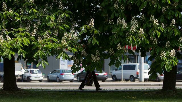 Исследование: треть калининградцев считают своё материальное положение очень плохим 