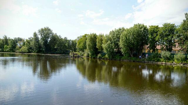 Роспотребнадзор запретил купаться в реке Шешупе 
