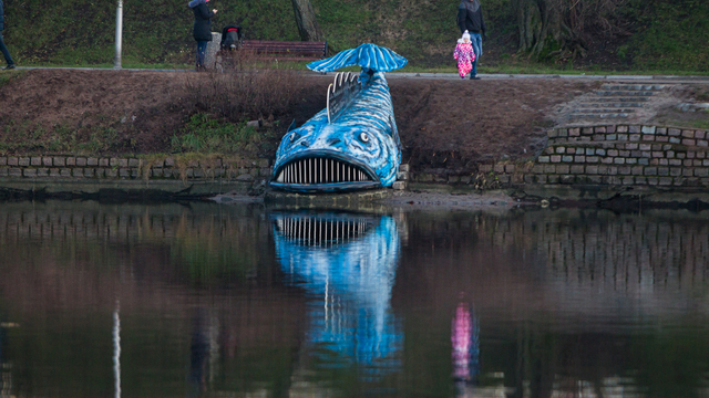Зубастую синюю рыбу на Нижнем озере планируют убрать