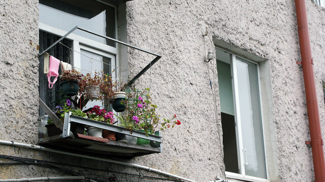 В России запретили выселять из общежитий семьи с детьми-инвалидами