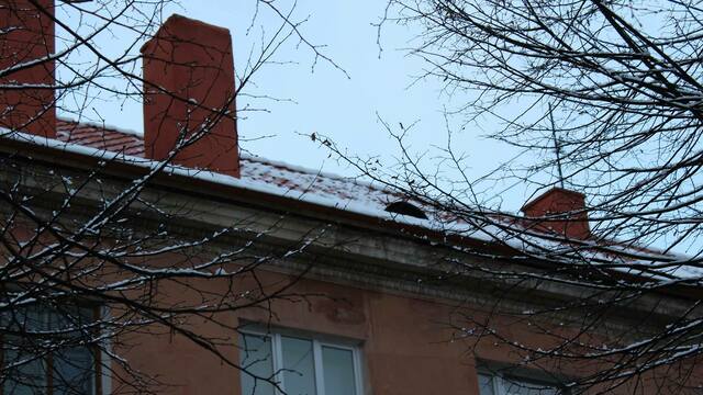 Фонд капремонта: крыши домов на ул. Красной покроют керамической черепицей и защитят от огня (фото)