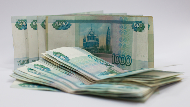 Властям Черняховска выделят два миллиона рублей на покупку микроавтобуса для многодетной семьи