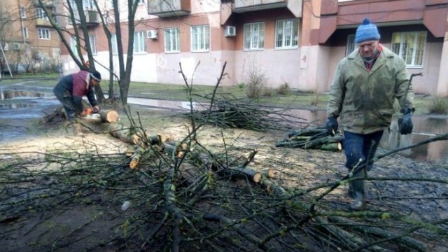 На западе Калининградской области шторм оставил без света 17 посёлков