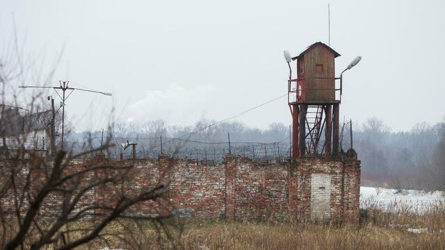 Студента из Марокко, зарезавшего в Калининграде бездомного, приговорили к восьми годам лишения свободы