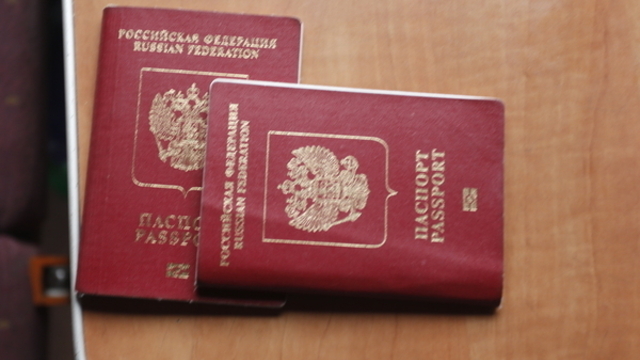Эксперт назвал возможные сроки отмены паспортов в России