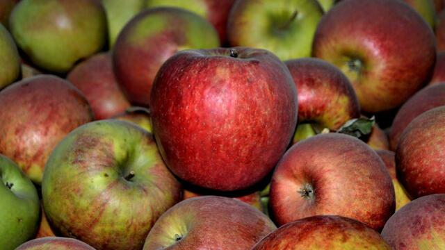 Россия официально сняла эмбарго на ввоз турецких продуктов