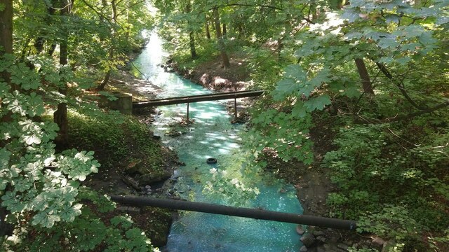 В Калининграде Парковый ручей окрасился в бирюзовый цвет (фото)