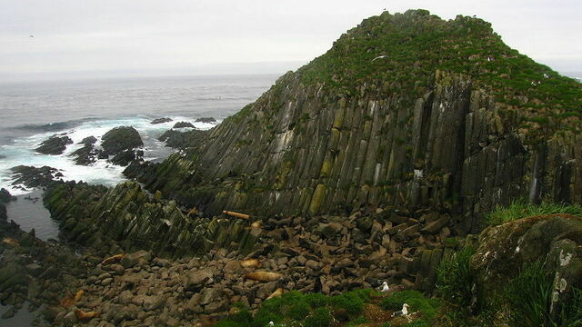 МИД Японии заявил о возможном возобновлении переговоров по возврату двух Курильских островов