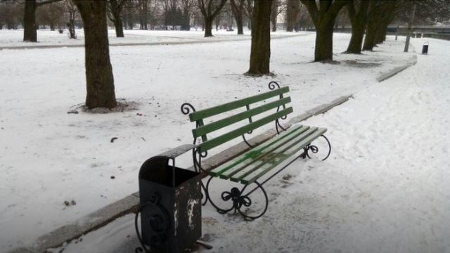 После критического поста московского блогера Варламова на острове Канта отремонтировали скамейки (фото)