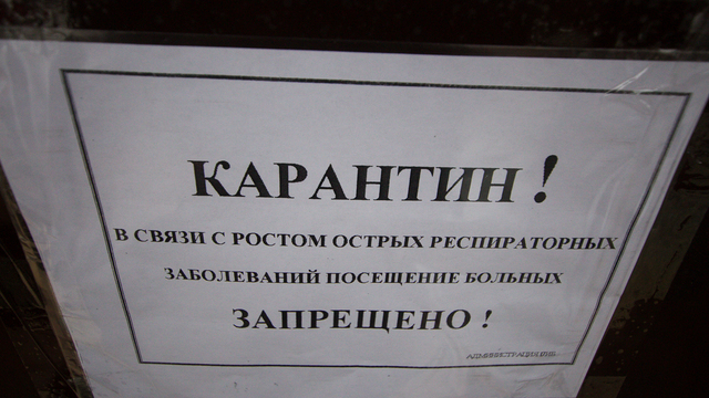 В Роспотребнадзоре рассказали, сколько дней продлится карантин в закрывшихся калининградских школах и детсадах  