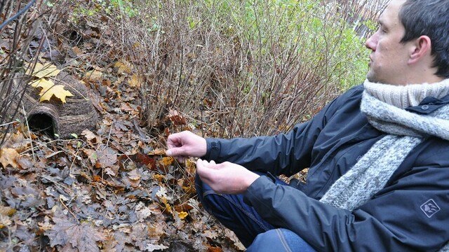 В городских парках Гданьска установили домики для зимовки ежей (фото)