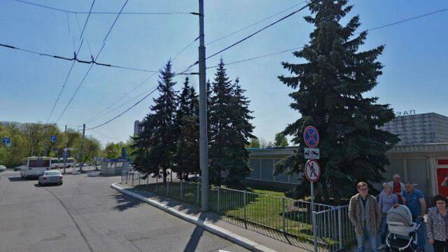 В Южный парк перенесут девять елей с калининградского автовокзала