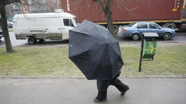 В четверг порывы ветра в Калининграде усилятся до 18 м/с