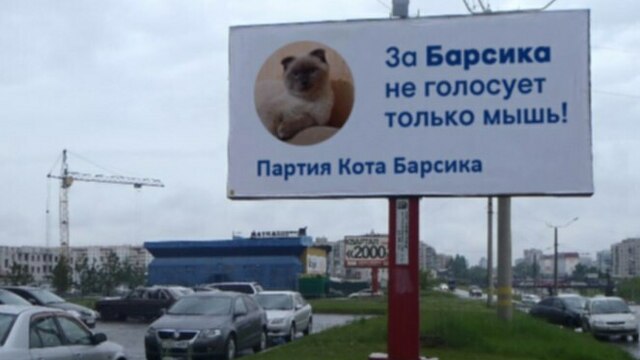 Кот из Барнаула намерен баллотироваться в президенты РФ