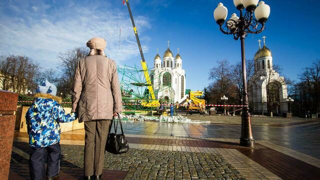 500 шаров и 90 гирлянд: в центре Калининграда начали устанавливать главную новогоднюю ель