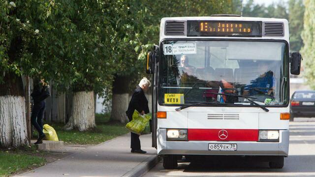 Перевозчики: через месяц в Калининграде 40% автобусов не выйдут на линию из-за проблем с ОСАГО