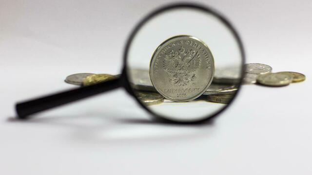 Калининградских муниципальных чиновников обяжут отчитываться о доходах перед губернатором