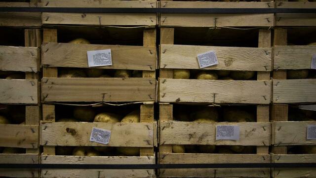 Россельхознадзор будет следить за белорусскими продуктами от границы до места продажи  