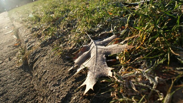 На следующей неделе синоптики обещают 0° в Калининграде