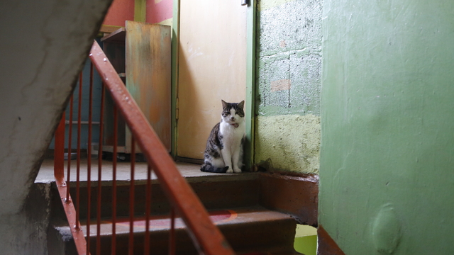 СМИ: в России закончились средства на помощь ипотечным заёмщикам 