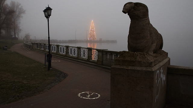 Хайп, Ждун и корзинка Сечина: 