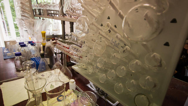 Роспотребнадзор предупредил об опасных добавках в красной икре