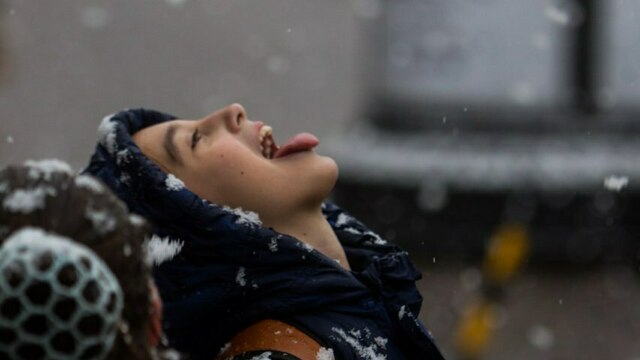 Калининградцы в соцсетях делятся фотографиями долгожданного снега