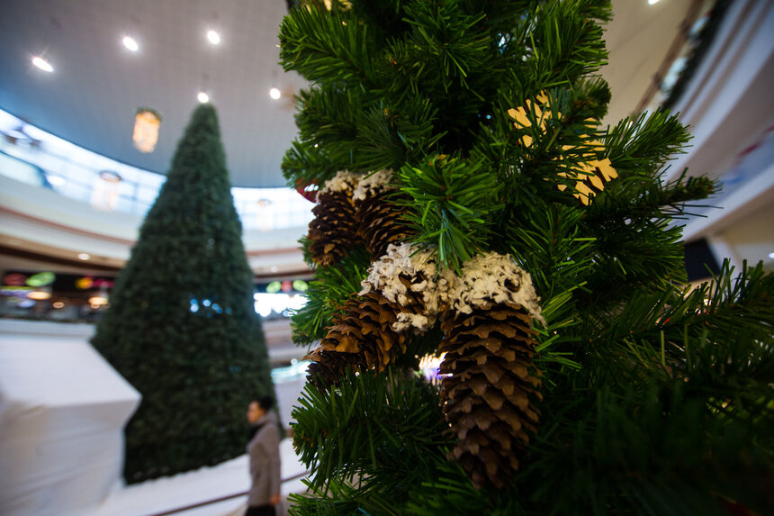 Александр Подгорчук / Архив Клопс.Ru