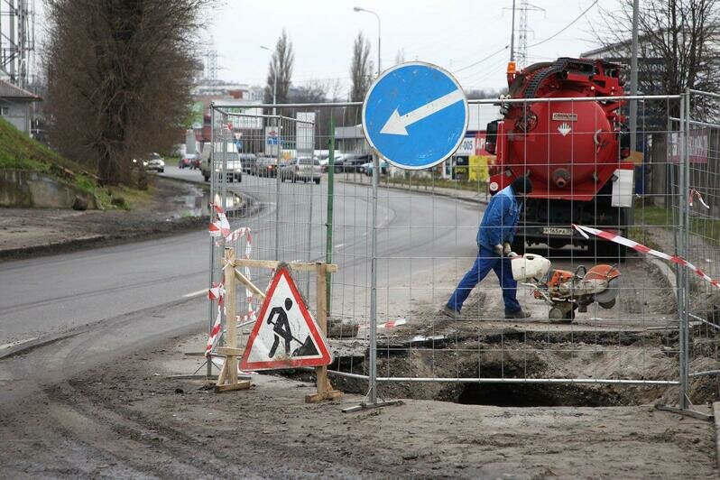 Александр Подгорчук / Клопс.Ru