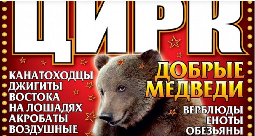 Накануне гастролей в Калининграде &quot;Советский цирк&quot; проводит беспрецедентную акцию &quot;2 плюс 1&quot; - Новости Калининграда