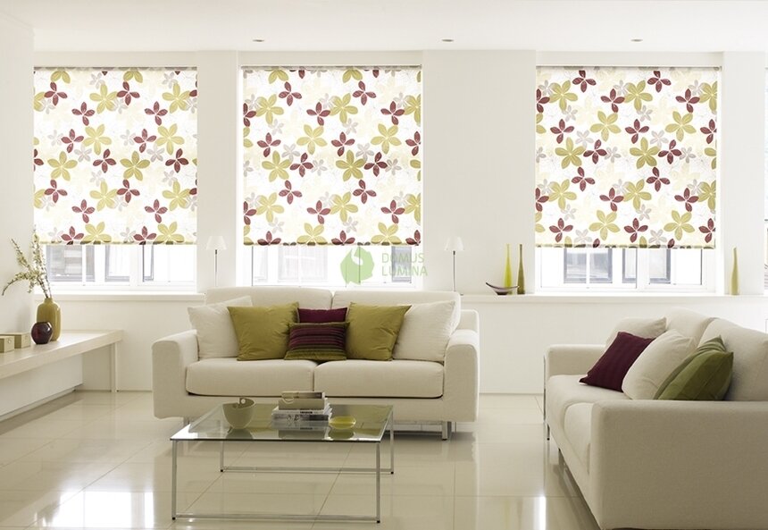 "Балкон в Европу" представляет шторы и ширмы с дистанционным управлением  - Новости Калининграда