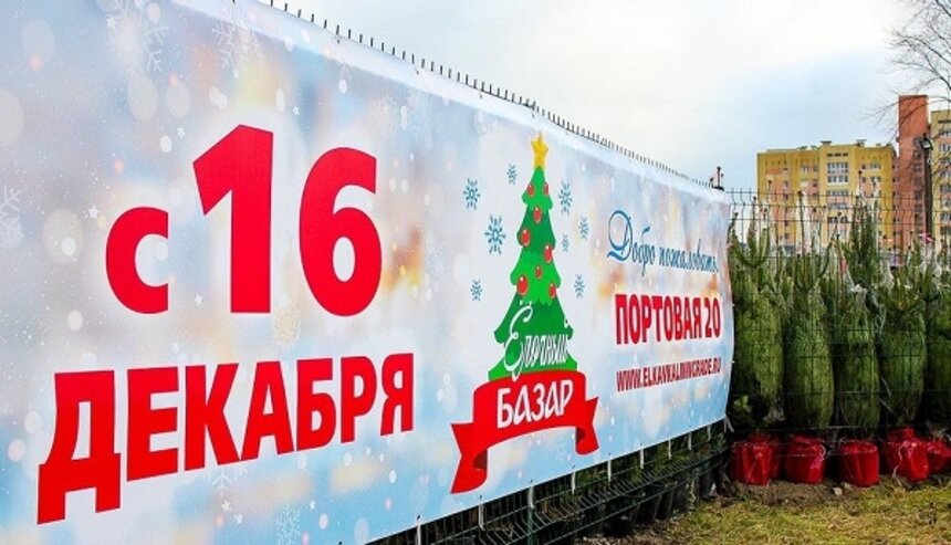 В центре Калининграда открылся ёлочный базар - Новости Калининграда
