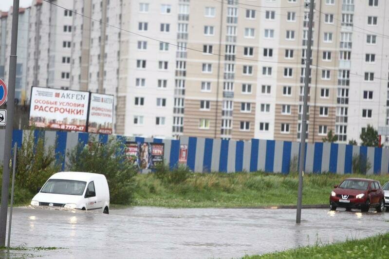 Фото: Александр Подгорчук 