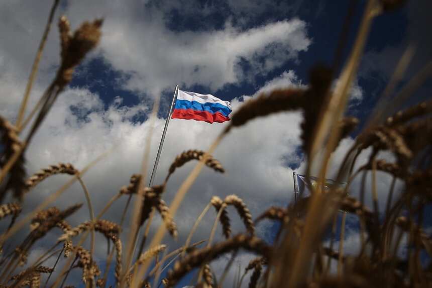 Александр Подгорчук / Архив Клопс.Ru