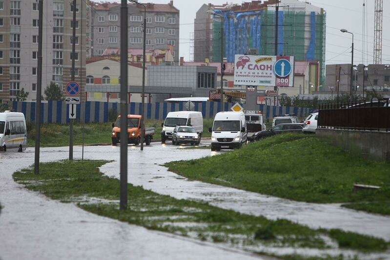 Фото: Александр Подгорчук 