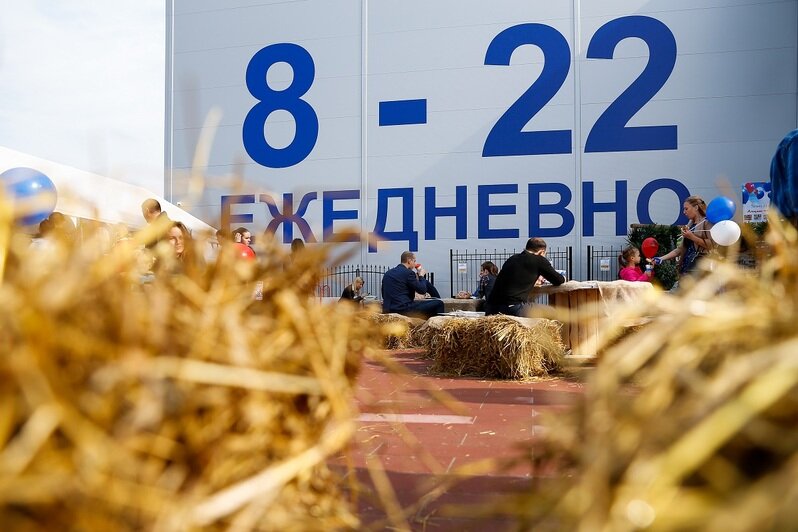 Фуд-корт, фотозона и полмиллиона на ремонт: в Калининграде на Окружной открылся новый "Бауцентр" - Новости Калининграда