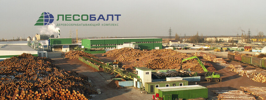 Естественность в тренде: калининградцы могут приобрести качественную экологически чистую древесину по сниженным ценам - Новости Калининграда