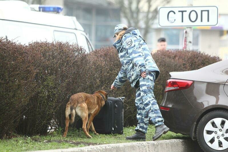 Фото Клопс.Ru. Автор: Александр Подгорчук