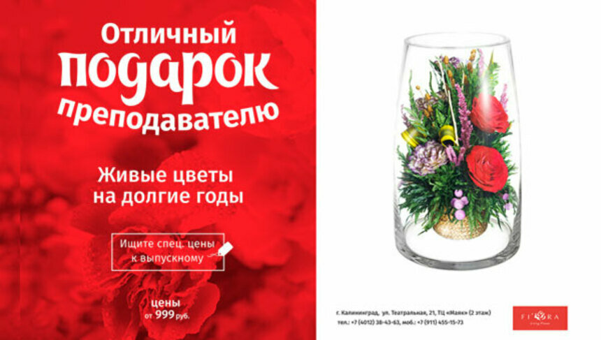 Букет будет стоять пять лет: где найти оригинальный подарок для любимого преподавателя - Новости Калининграда
